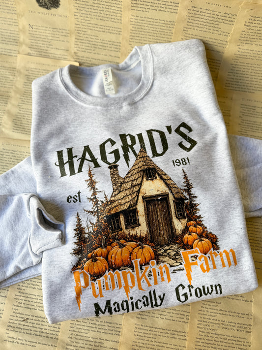 Magically Grown Pumpkins // 3 weeks